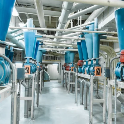 Supportive macro-economic environment